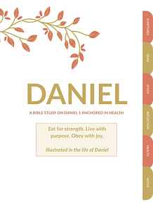 Cover (3)